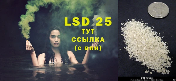 сатива Баксан